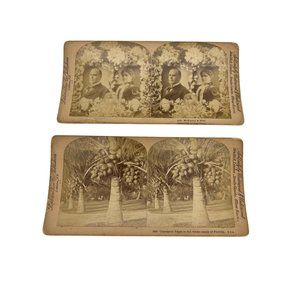 2 Littleton View Co Stereoview Cards President McKinley & Wife + Cocoanut Trees